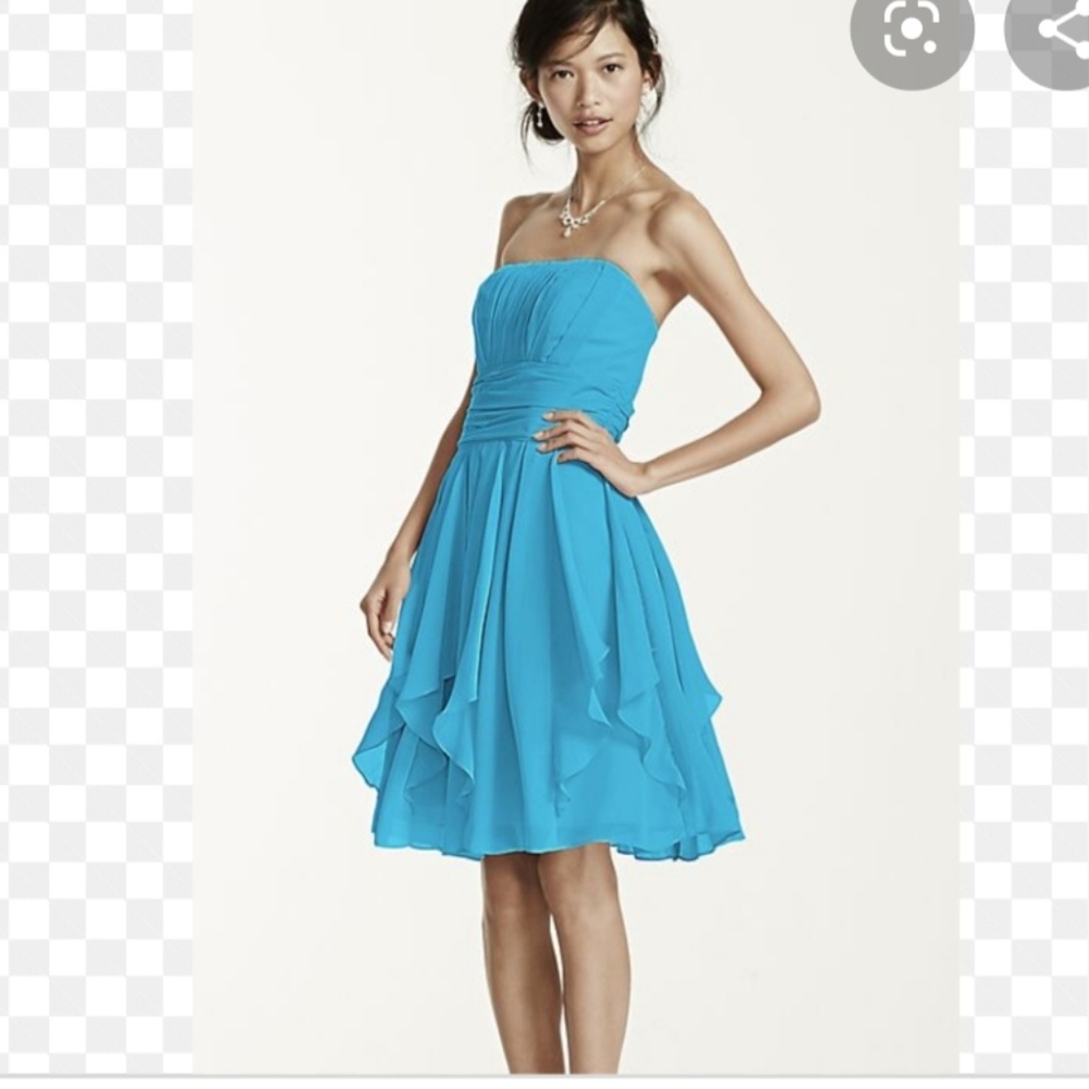 Malibu Blue David's Bridal dress.